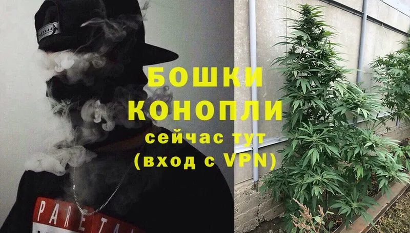 Конопля Ganja  наркота  Видное 